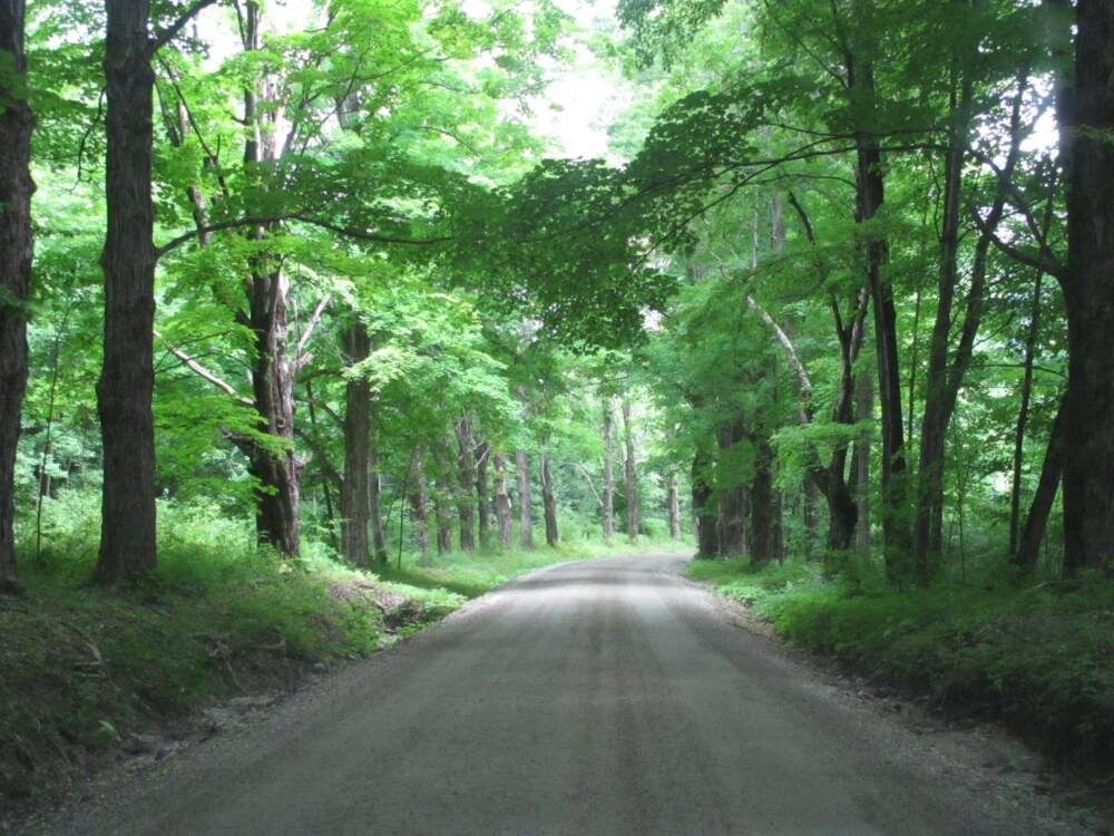 A road in northwest Massachusetts in region covered by the Woodlands Partnership (Courtesy of Henry Art)