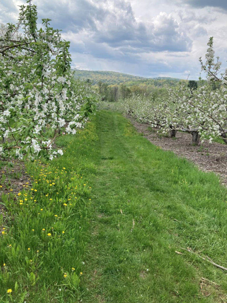 Riverview Farm in Plainfield, NH. (Courtesy of Paul Franklin)