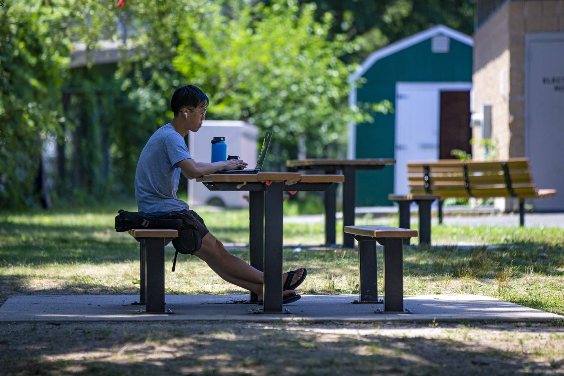 A young man works on a laptop in a shady area at Artesani Playground in Allston. (Jesse Costa/WBUR)