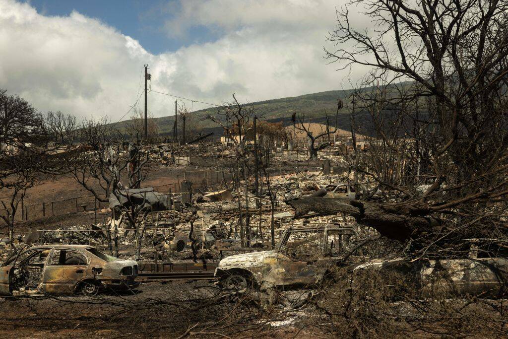 Carcasses of cars are seen among the ashes of burnt neighborhood in the aftermath of a wildfire, in Lahaina, western Maui, Hawaii on Aug. 14, 2023.Last week's inferno on the island of Maui is already the deadliest U.S. wildfire in a century, with only a quarter of the ruins of the devastated town of Lahaina searched for victims so far. (Photo by Yuki Iwamura /AFP via Getty Images)