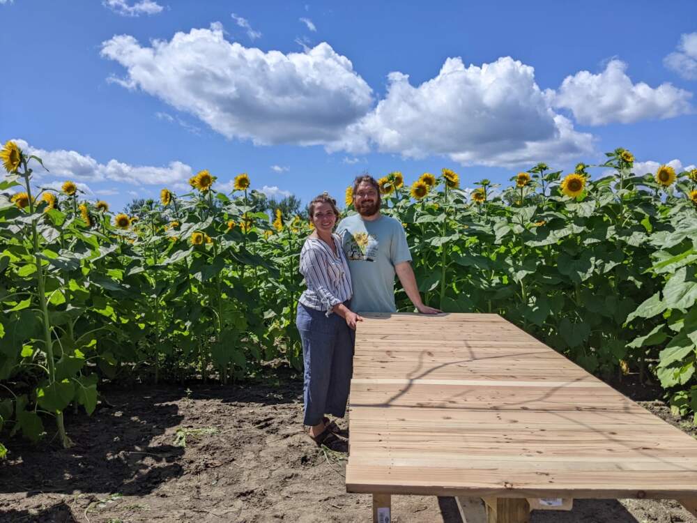 Greg Pollock and Amber Brouillette stand in the middle of their sunflower field in front of a dining table, custom made where Brouillette serves 7 course dinners, using her background as professional chef. (Olivia Richardson/NHPR)