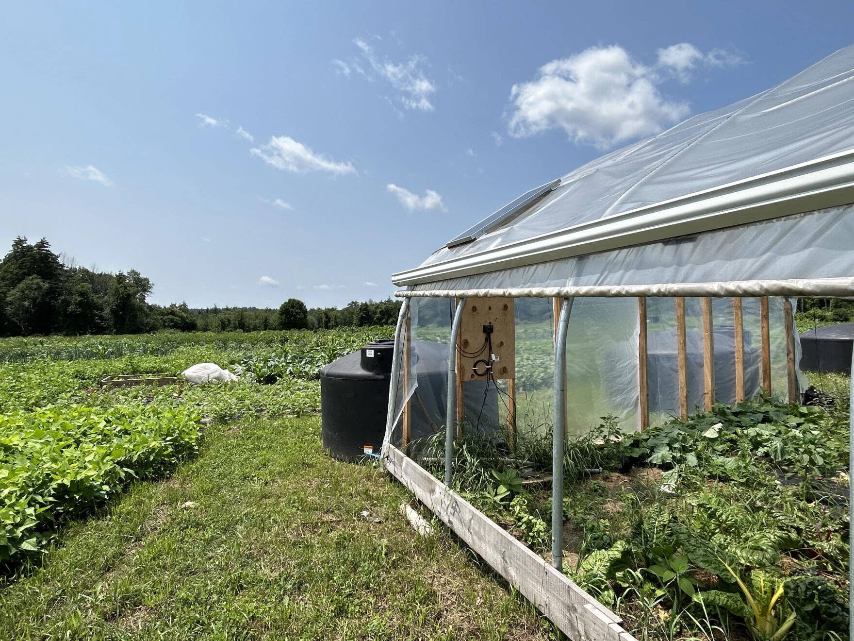 Vegetables grow under the protection of a high tunnel and out in the open fields at Fresh Start.