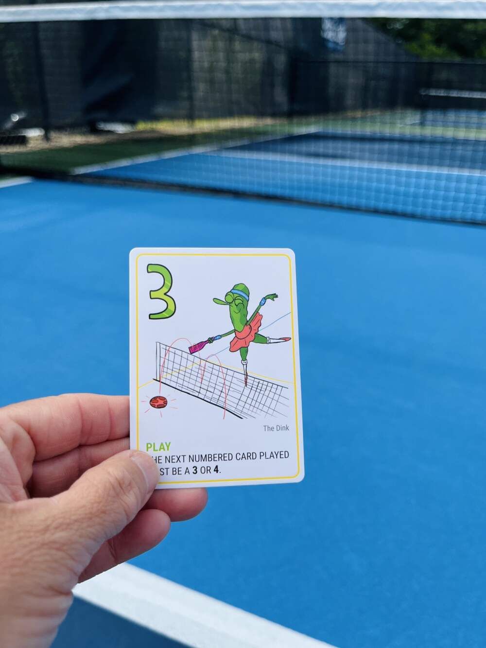 The Association of Pickleball Professionals says 48.3 million adults have joined the crazy. (Courtesy of Marcella Meyer)