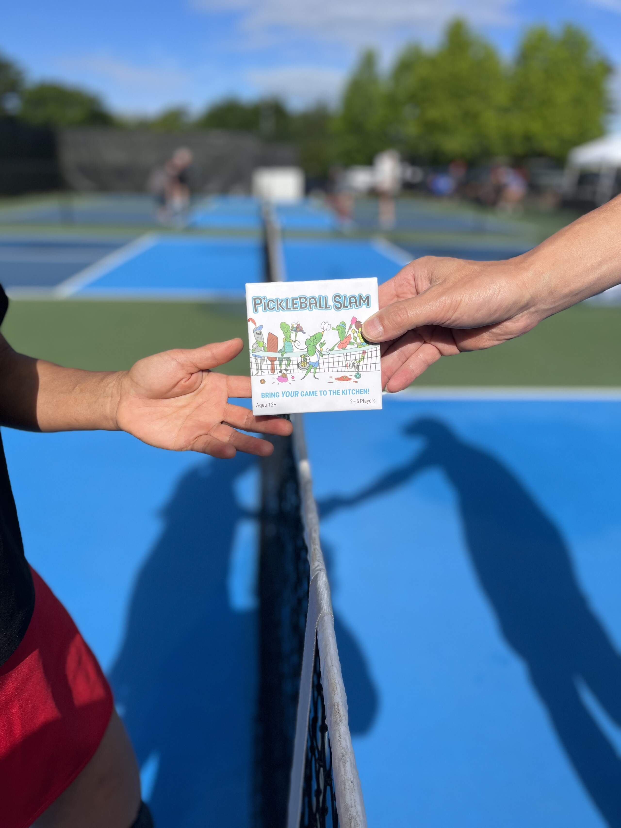 Pickleball Slam incorporates the game's strategies and terminology with an action-packed game including characters ranging from a ballerina, a superhero, a few chefs and a knight in shining armor. (Courtesy of Marcella Meyer)
