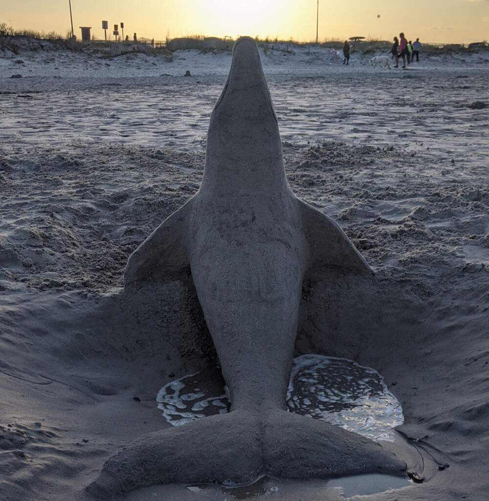 A dolphin made of sand perches on Nahant Beach at sunset. (Courtesy of Gary White)