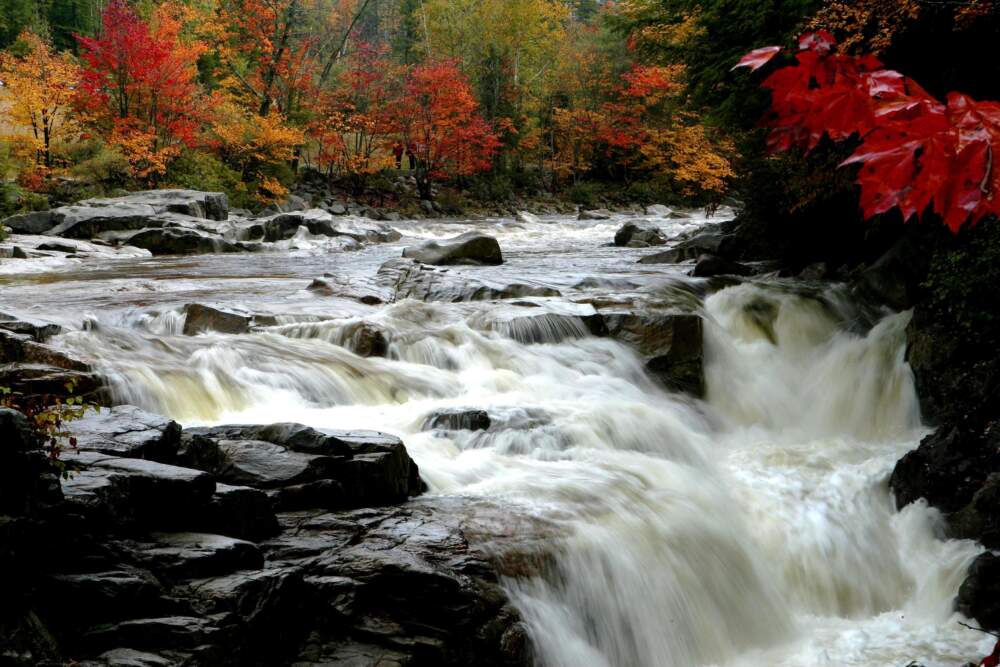 Leaves begin to change color along the Swift River off the Kancamagus Highway in Albany, N.H. (Jim Cole/AP)