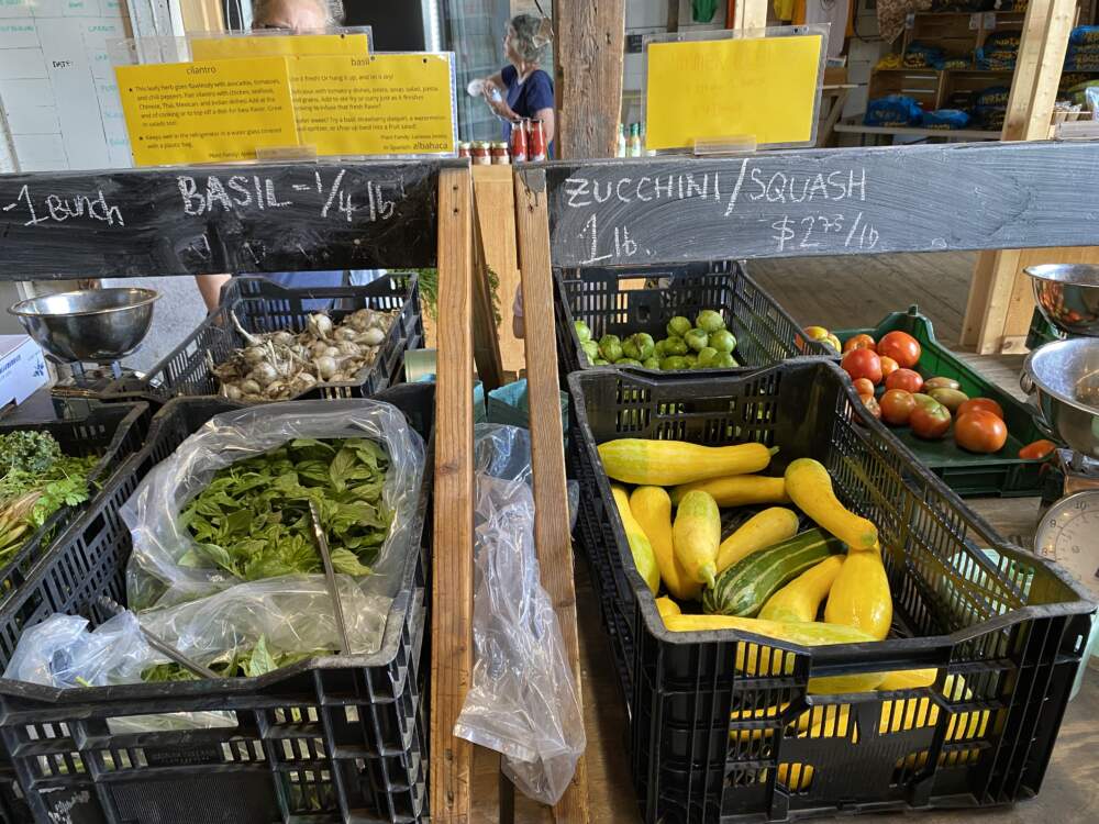 The last of the squash at Just Roots farm-share store in Greenfield Mass. Flooding in July 2023 destroyed most of the farms zucchini and squash crops. Photo by Barbara Moran, WBUR