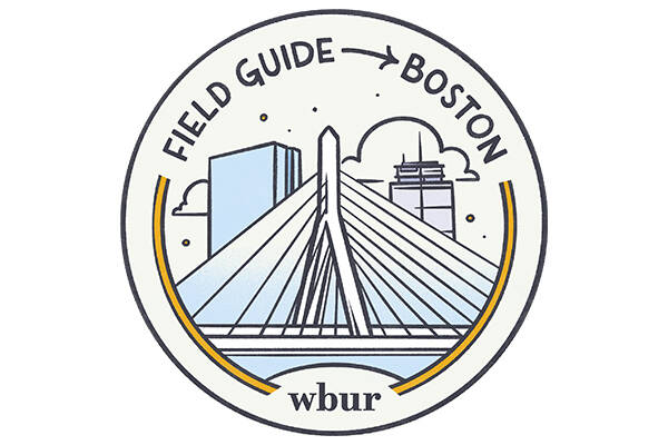 A logo for the project Field Guide to Boston showing some iconic landmarks in the city.