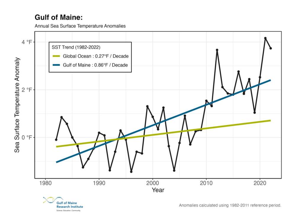 Warming trends in the Gulf of Maine and global oceans. Courtesy Gulf of Maine Research Institute