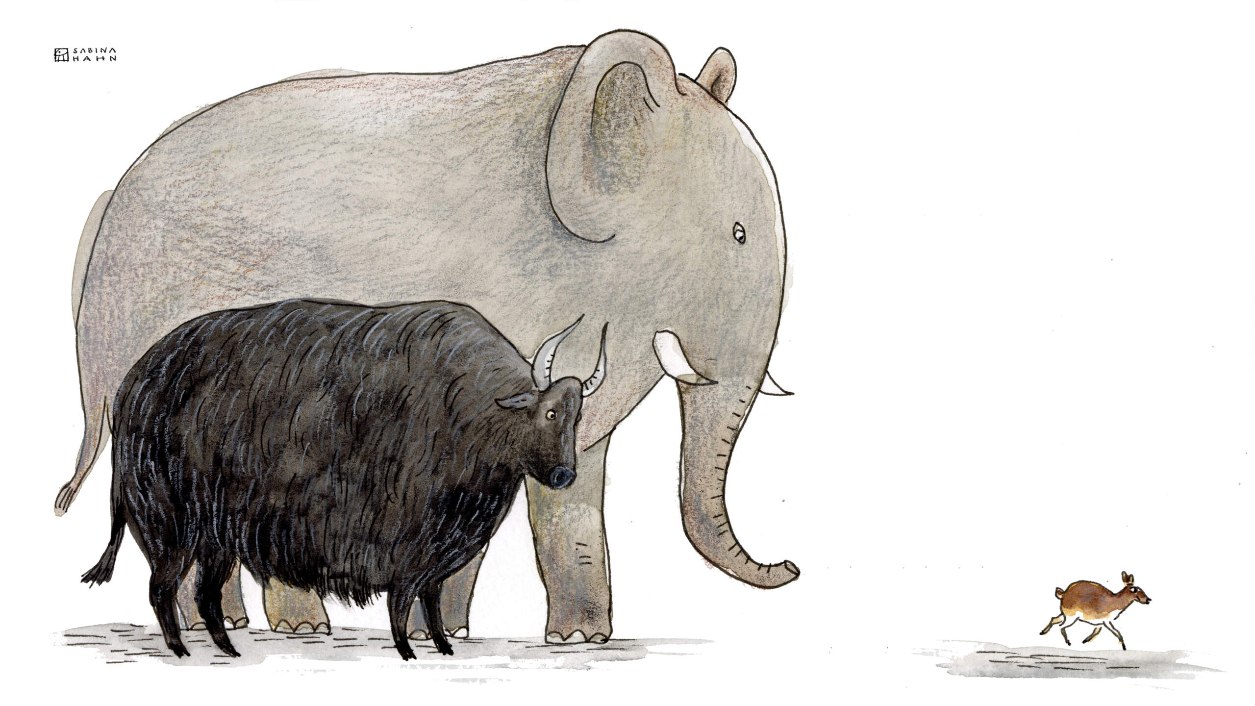 (Sabina Hahn for WBUR)