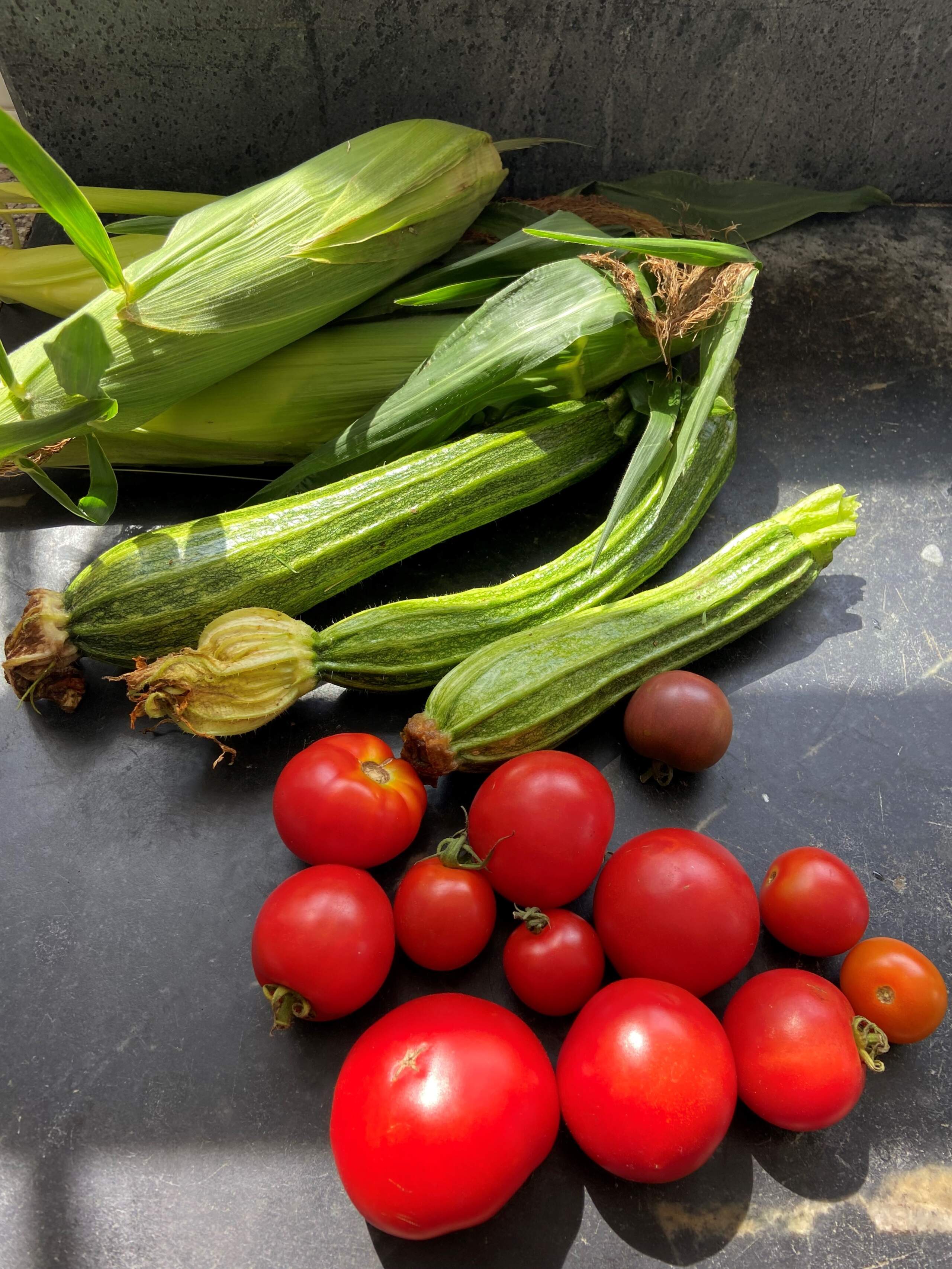 (Please don’t let it) end of summer pasta. (Kathy Gunst/Here & Now)