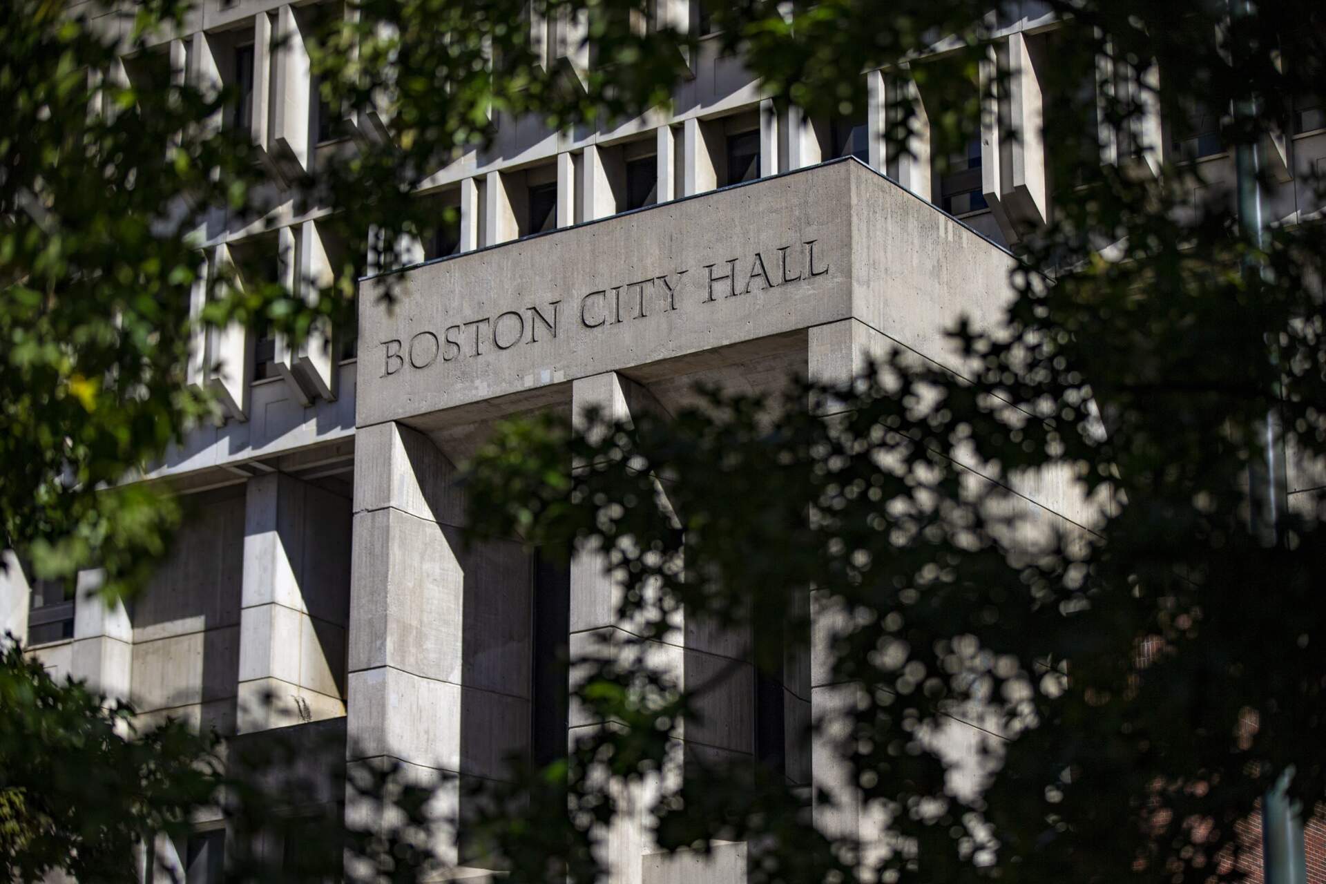 Boston City Hall. (Jesse Costa/WBUR)