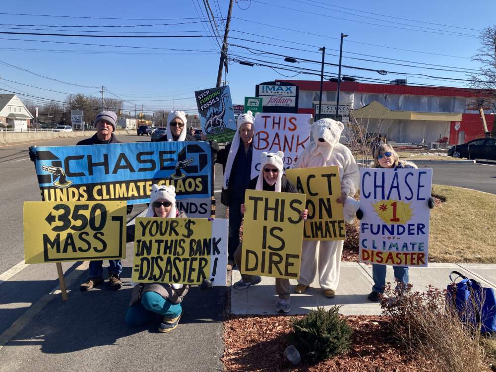 The author, in the polar bear suit, with other climate activists on Route 9 in Framingham. (Courtesy Sabine von Mering)
