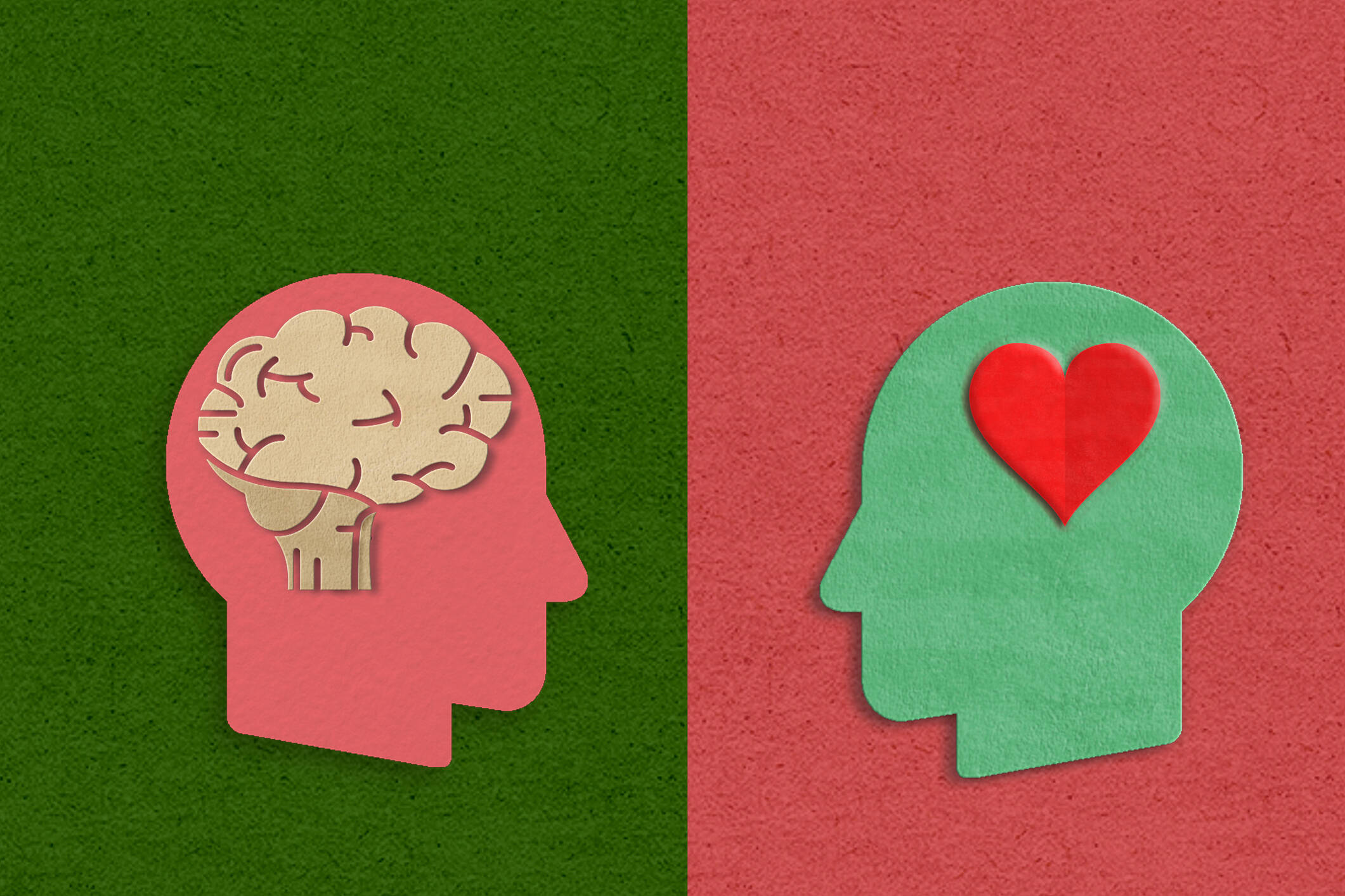 When we pay attention, empathy is everywhere