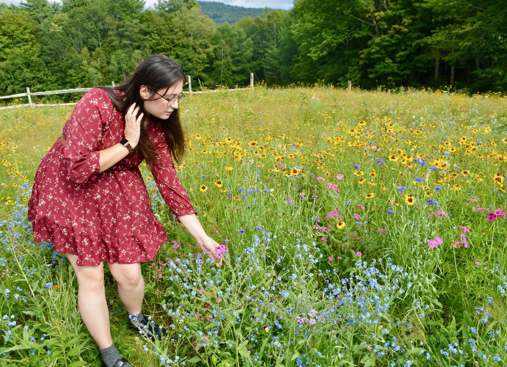 Natalie Gilliard points out some sweet William blossoms in a meadow she and Jonathan Yacko planted on their neighbor's property.