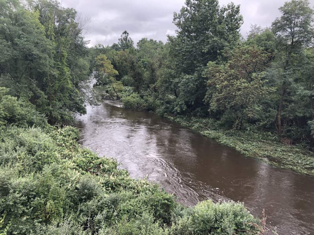 Severe flooding of the North Nashua River in Leominster in September 2023. (Carrie Jung/WBUR)