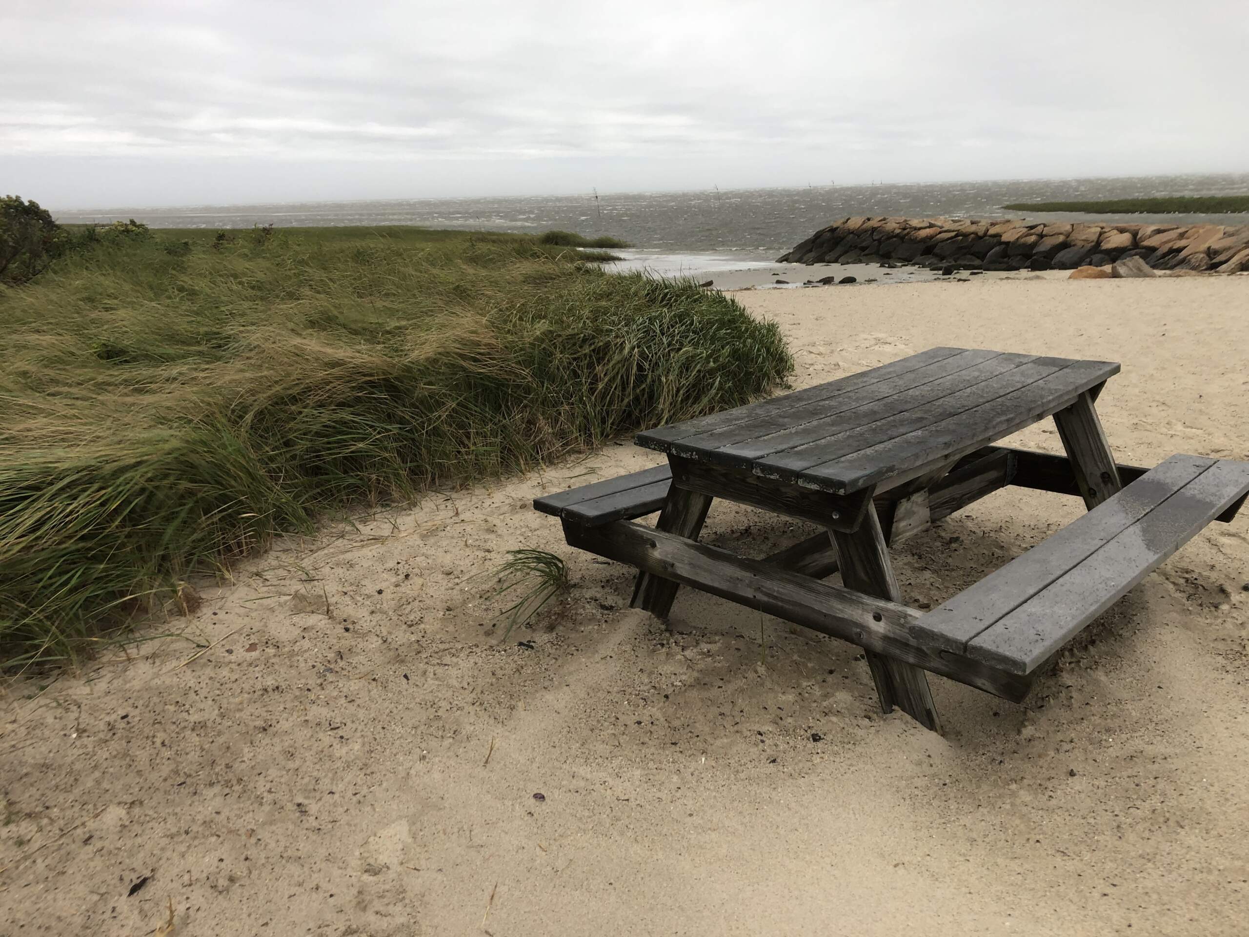 Dune grass blew and sand flew at Rock Harbor in Orleans (Lynn Jolicoeur/WBUR)