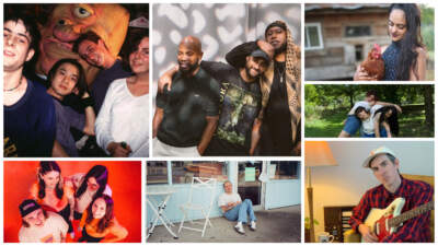 7 albums by Mass. artists to listen to this fall