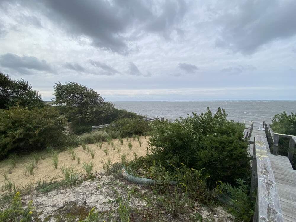 The surf and wind began to pick up on the beach in Brewster Friday afternoon, as Hurricane Lee made its approach about 200 miles offshore. (Miriam Wasser/WBUR)