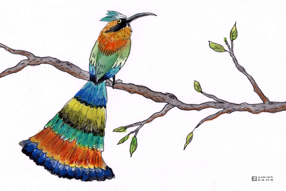 The Clock Bird 