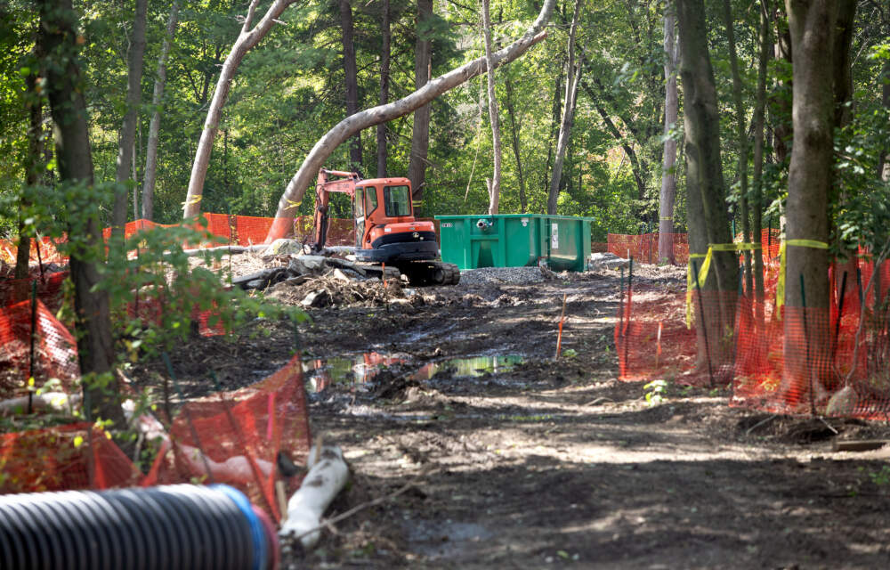 Work gets underway to create a new wetland in the Maillet, Sommes and Morgan conservation area in Reading. (Robin Lubbock/WBUR)