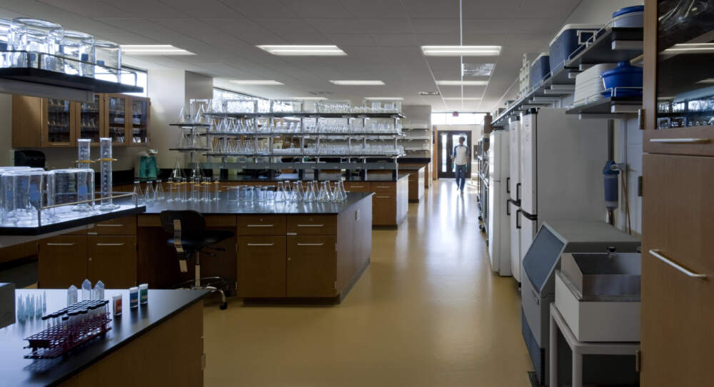 Inside a laboratory support space. (Courtesy of Marlene Imirzian & Associates Architects)