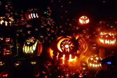 How to carve a pumpkin like a pro