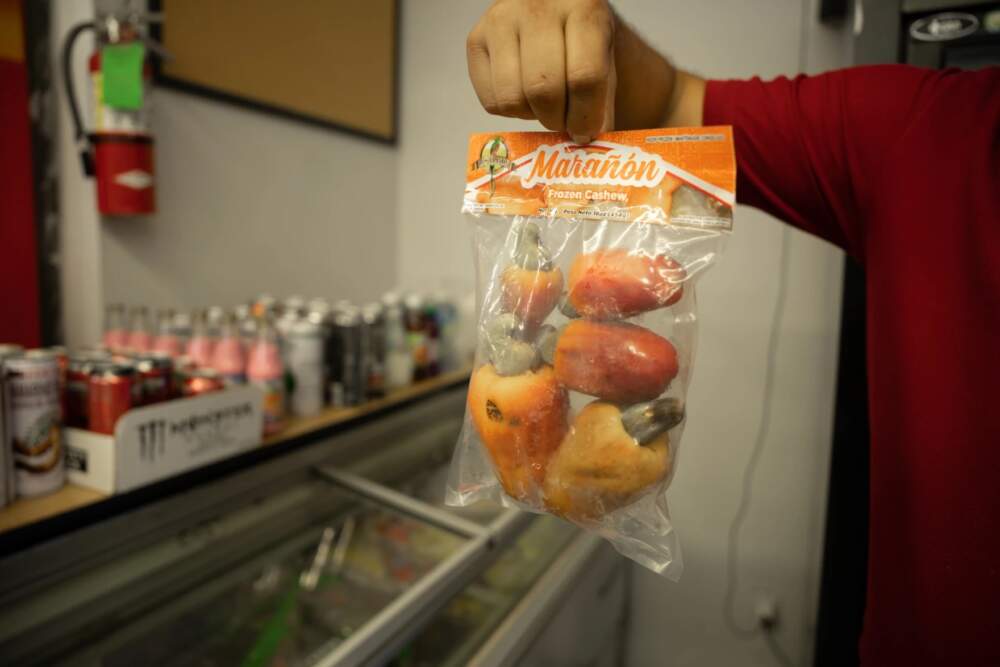 Cardona said he constantly has to re-stock his supplies of marañon, or cashew apple. People in Central America use it to make juice. It has a rubbery texture and is very sour. (Gabriela Lozada/ NHPR)