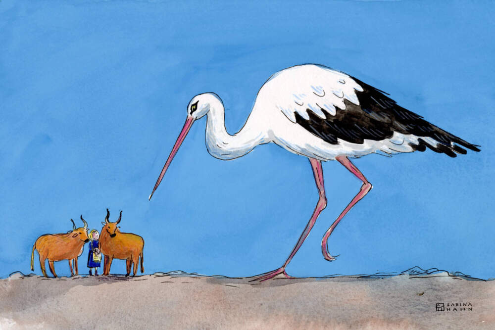  The Stork King 