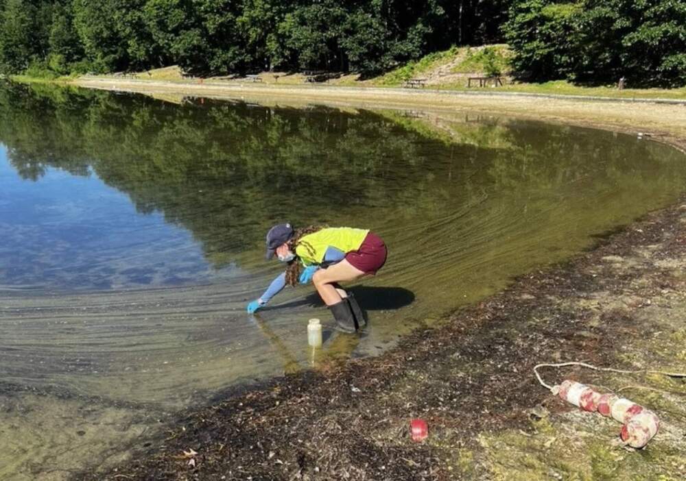 Christine Bunyon, the researcher who led a study on how drones can help identify cyanobacteria blooms, gathers a sample from Keyser Pond in Henniker, New Hampshire.(Courtesy of Christine Bunyon, University Of New Hampshire)