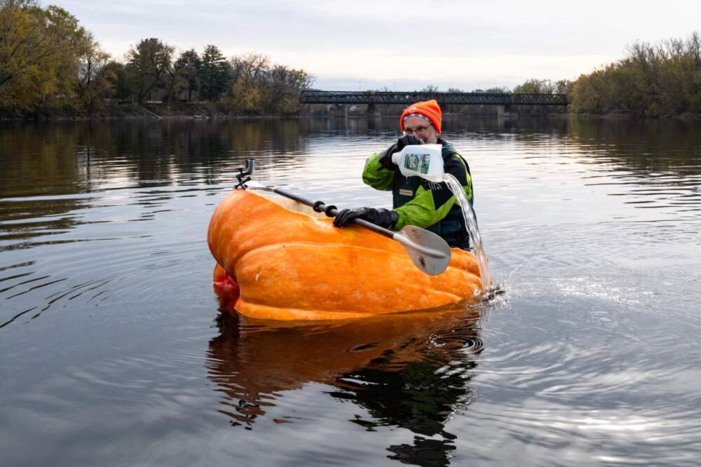 David Rothstein bales water from his pumpkin before floating under the Coolidge Bridge in Northampton, Massachusetts. (Ben James/NEPM)