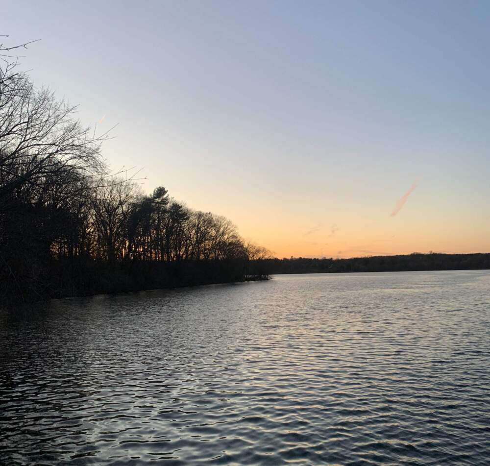 Fresh Pond at dusk on November 24, 2020. (Courtesy Cloe Axelson)