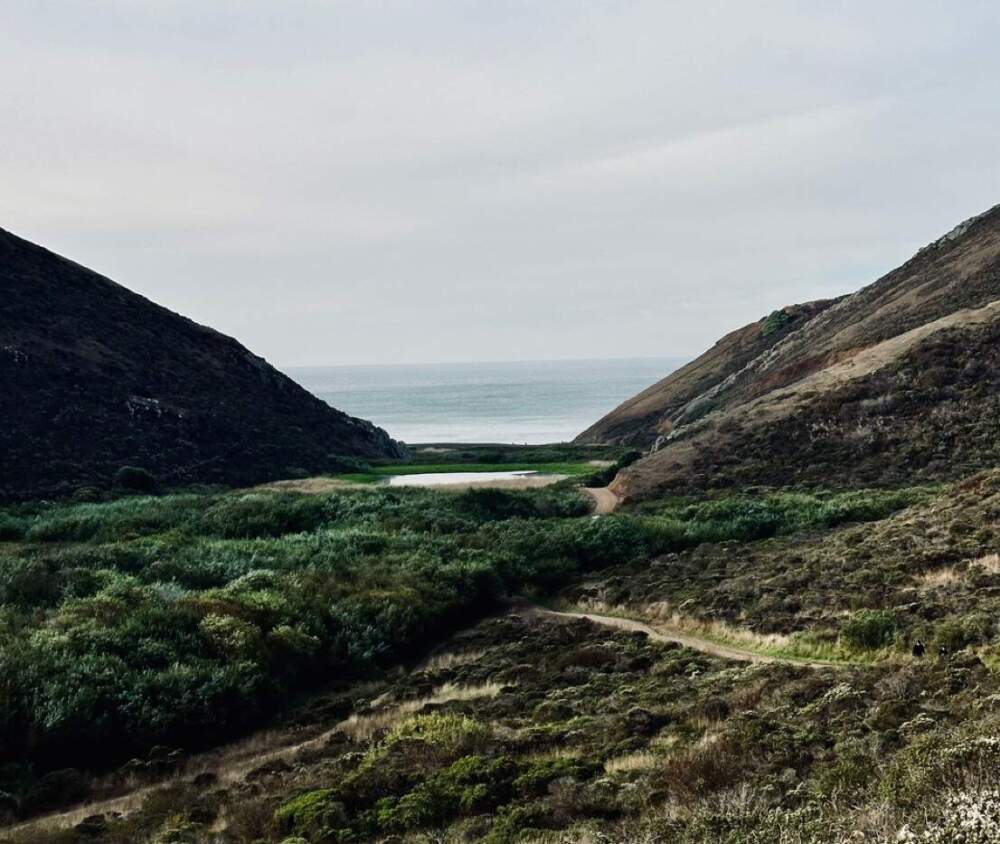 My favorite walk on the west coast is an out-and-back on a dirt road that ends with the kiss of the Pacific Ocean, writes Libby DeLana. (Courtesy Libby DeLana)
