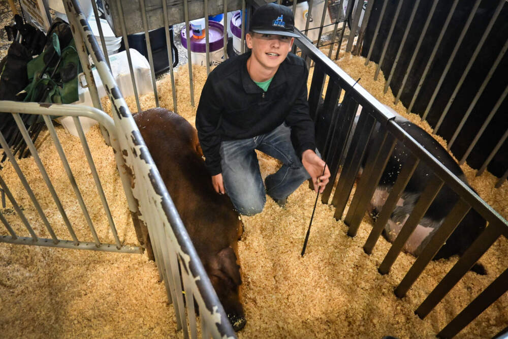 Riley Stucker, 18, and his Duroc pig at the American Royal Livestock Show. (Courtesy of Carlos Moreno/KCUR)