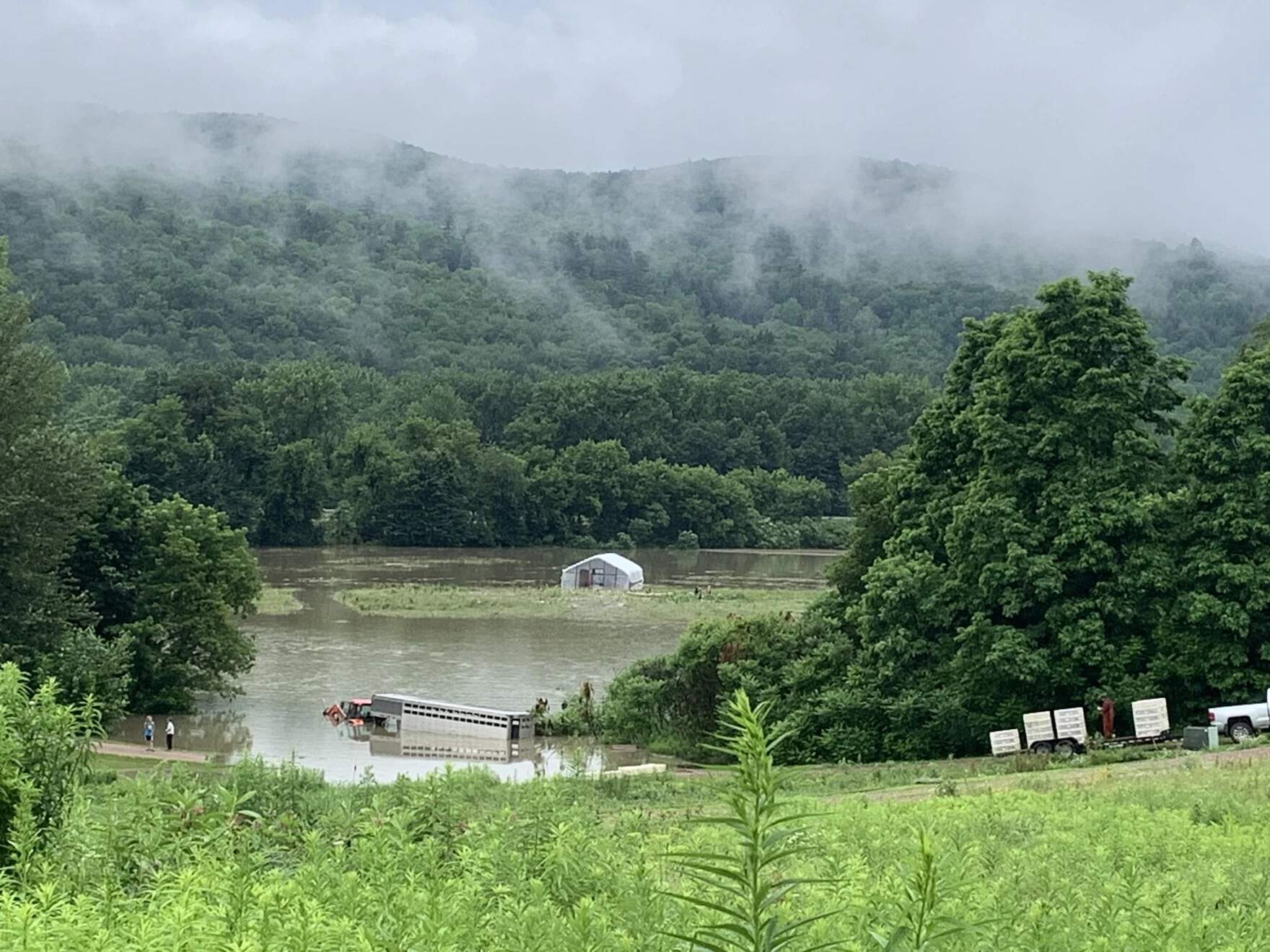 The field where Maple Wind Farm raised its turkeys was covered with more than 5 feet of water during the flood this summer. (Courtesy of Bruce Hennessey)