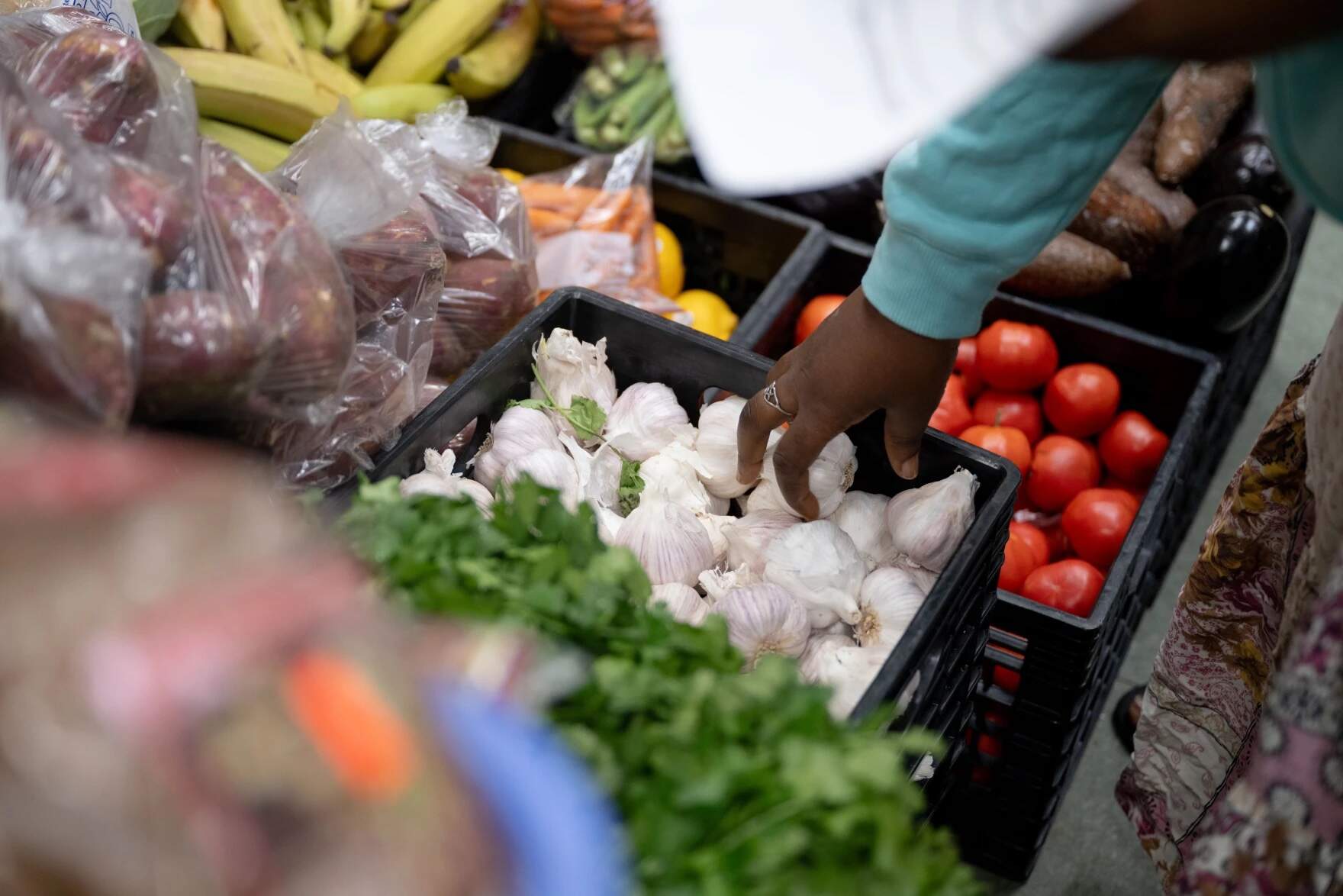 A customer reaches for a garlic bulb in Mogadishu Store in Lewiston, Maine. (Raquel C. Zaldívar/New England News Collaborative)