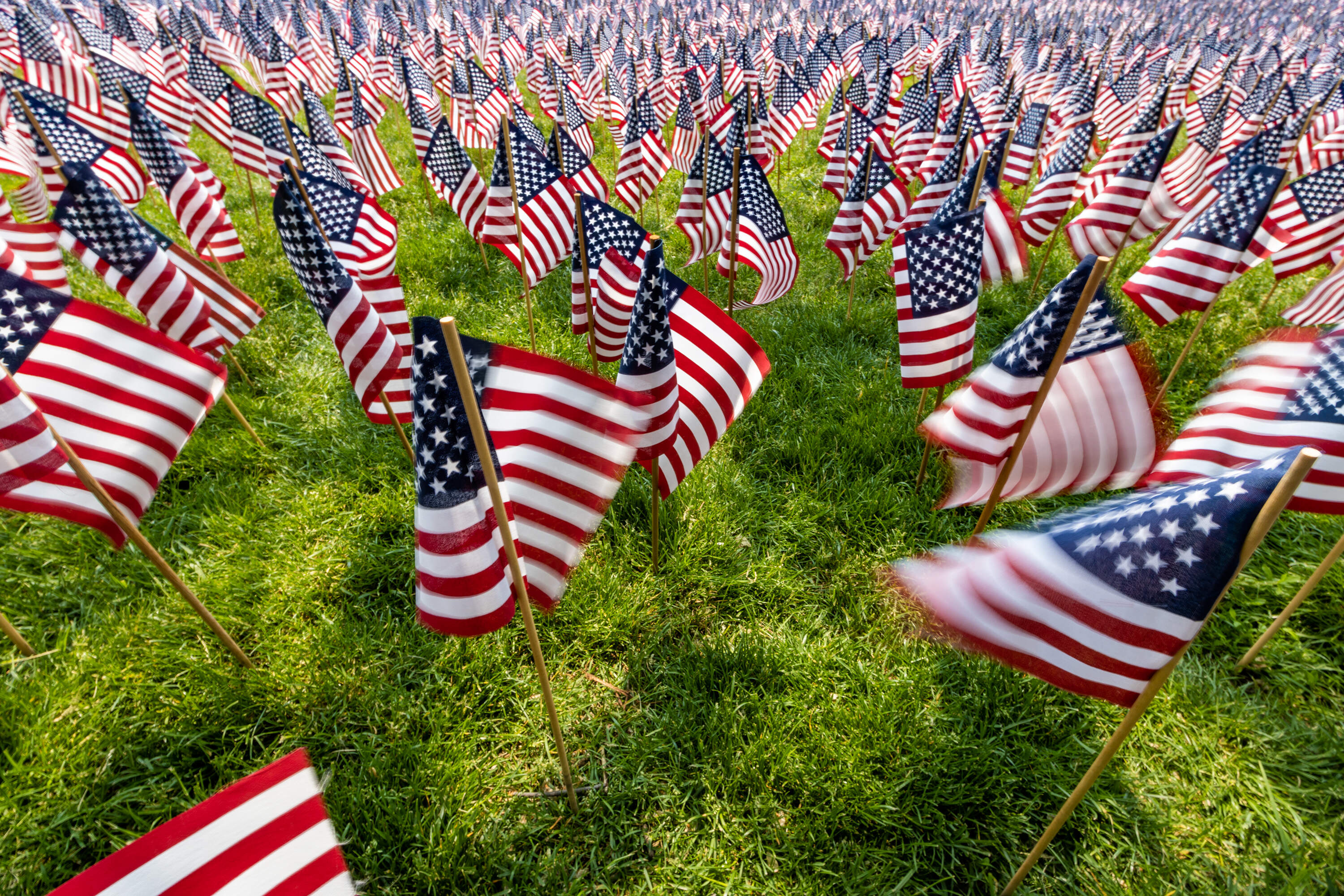 Flags planted by Massachusetts Fallen Heroes volunteers on the Boston Common for the upcoming Memorial Day weekend. (Jesse Costa/WBUR)