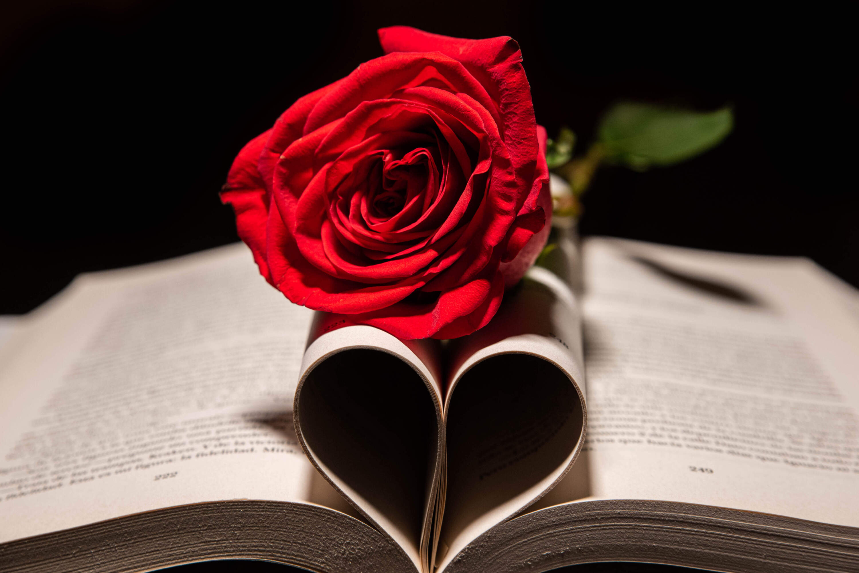 From chiseled abs to discrete illustrations: How romance covers have changed over time