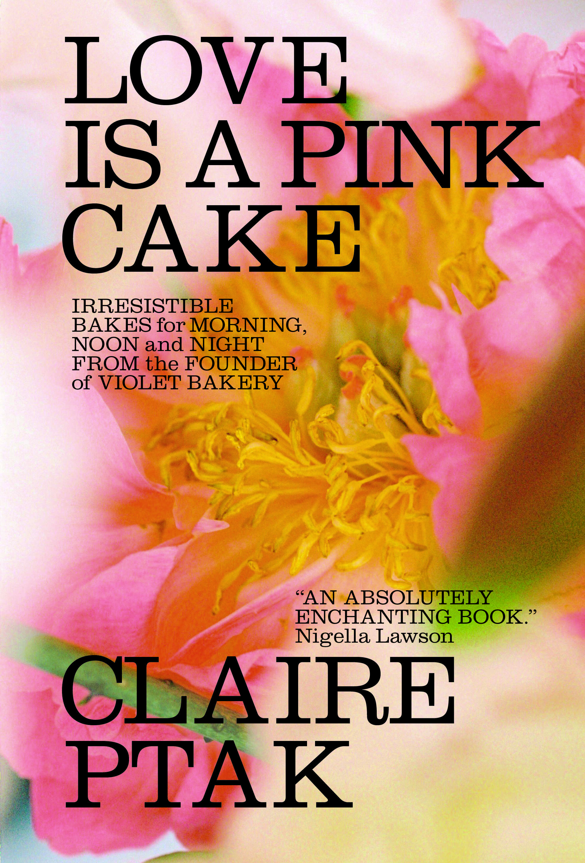 The cover of &quot;Love is a Pink Cake.&quot; (Courtesy of W.W. Norton &amp; Company)