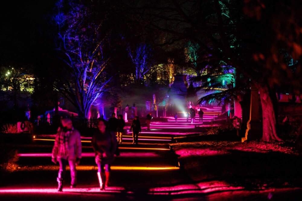 Mount Auburn Cemetery commissioned MASARY Studios to create a series of installations across the grounds for the darkest nights of the year. (Courtesy Aram Boghosian)