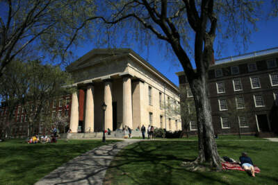 Brown University looks to repatriate over 80 native remains