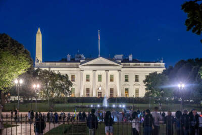 How Cog will cover the 2024 election