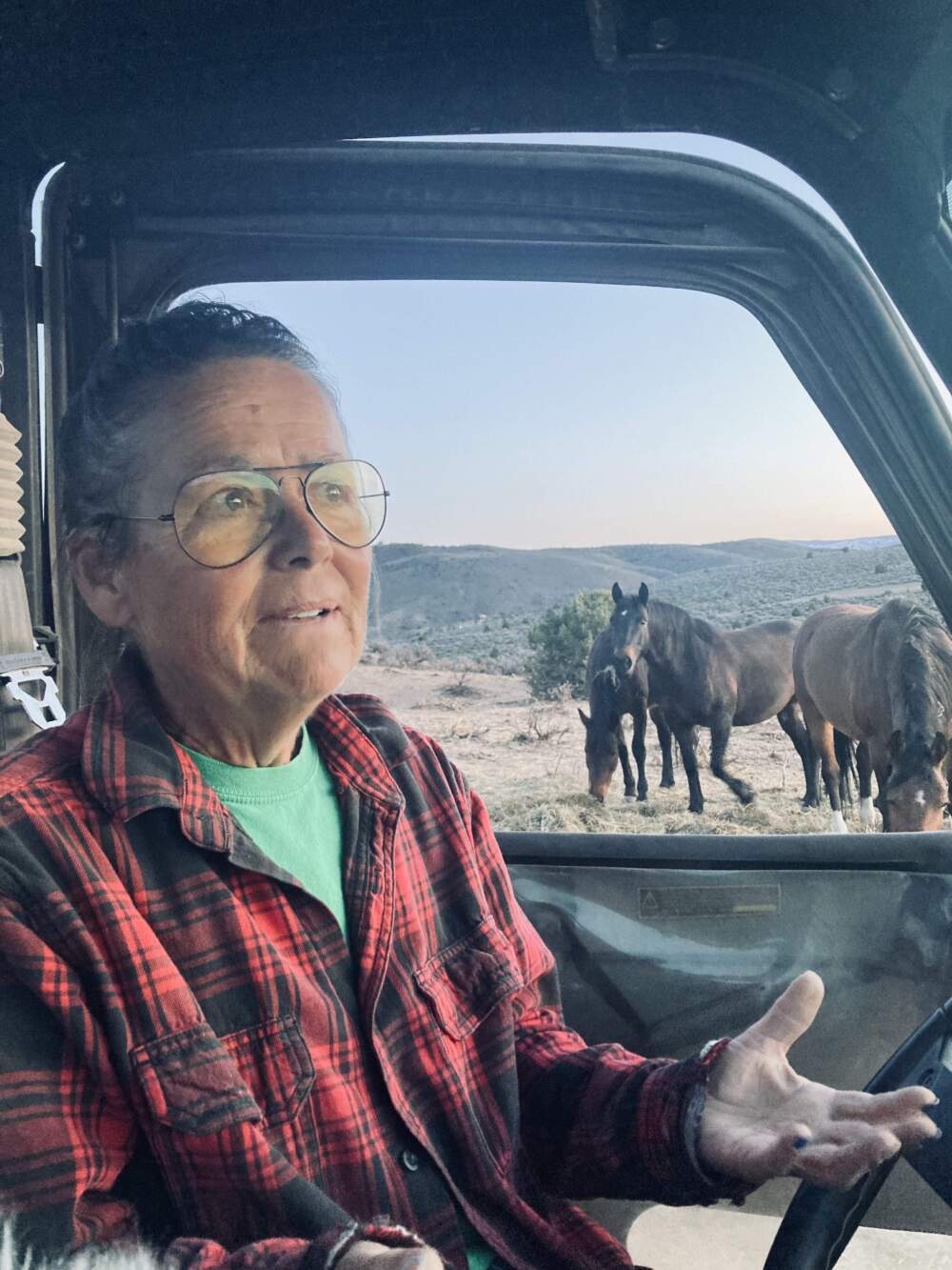 Shannon Windle is the president of the Hidden Valley Wild Horse Protection Fund in Reno, Nevada. The group opposes wild horse round-ups and operates a horse sanctuary. (Courtesy of Ashley Ahearn)