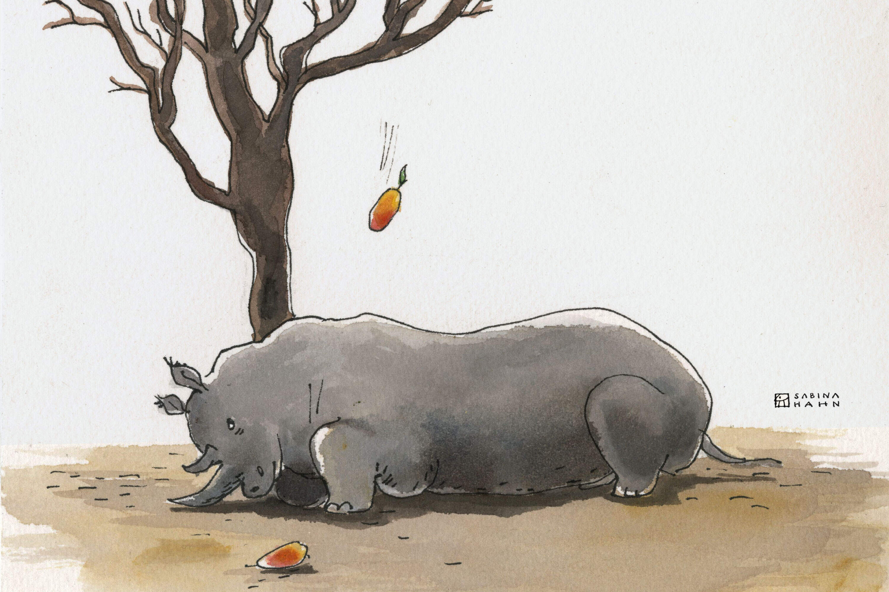  Rhyming Rhino 