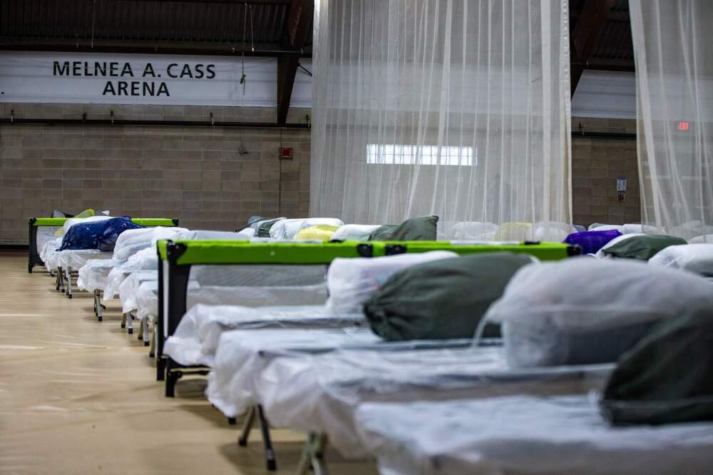 Cots set up in the overflow shelter in Melnea Cass Recreational Complex. (Jesse Costa/WBUR)
