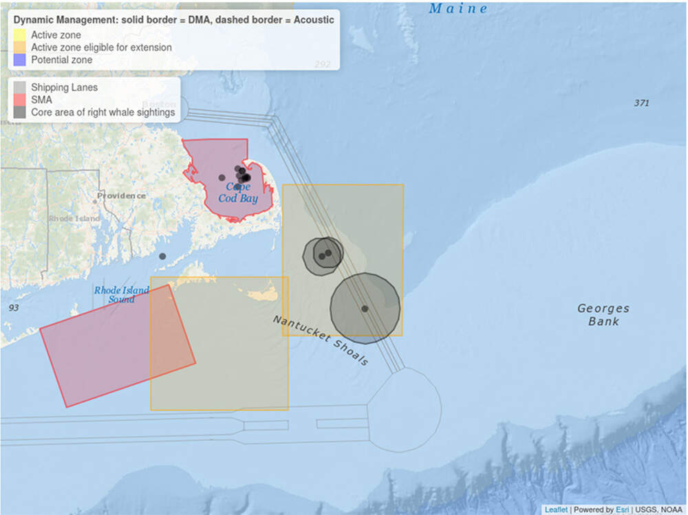 A map of the slow zones, called the Dynamic Management Area, and the recent. whale sightings. (Courtesy of NOAA)
