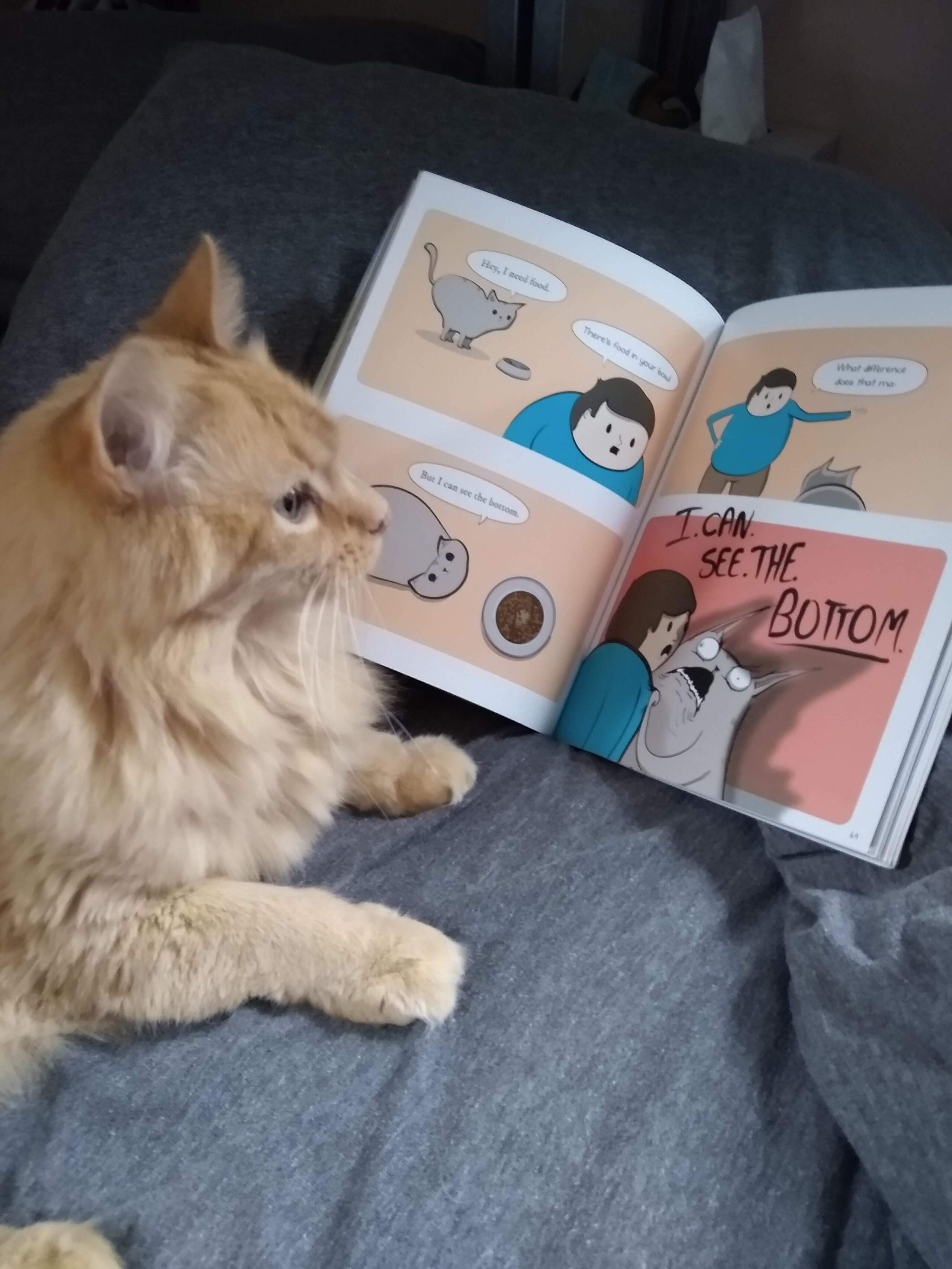 A cat with "The Oatmeal" book. (Courtesy of the Worcester Public Library)
