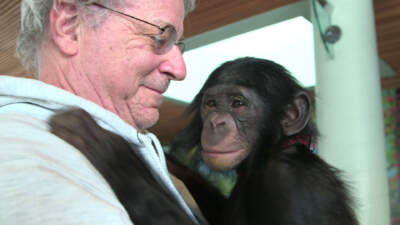 Steven Wise fought tirelessly for animal personhood. We humans are better for it