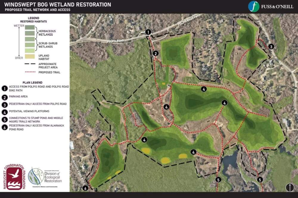 (Courtesy of the Nantucket Conservation Foundation via CAI)