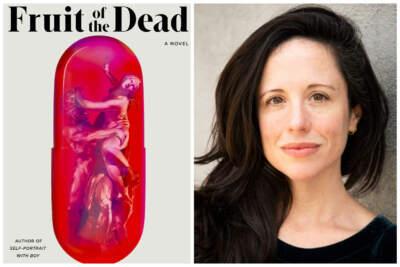 Novel 'Fruit of the Dead' is a contemporary reimagining of Persephone